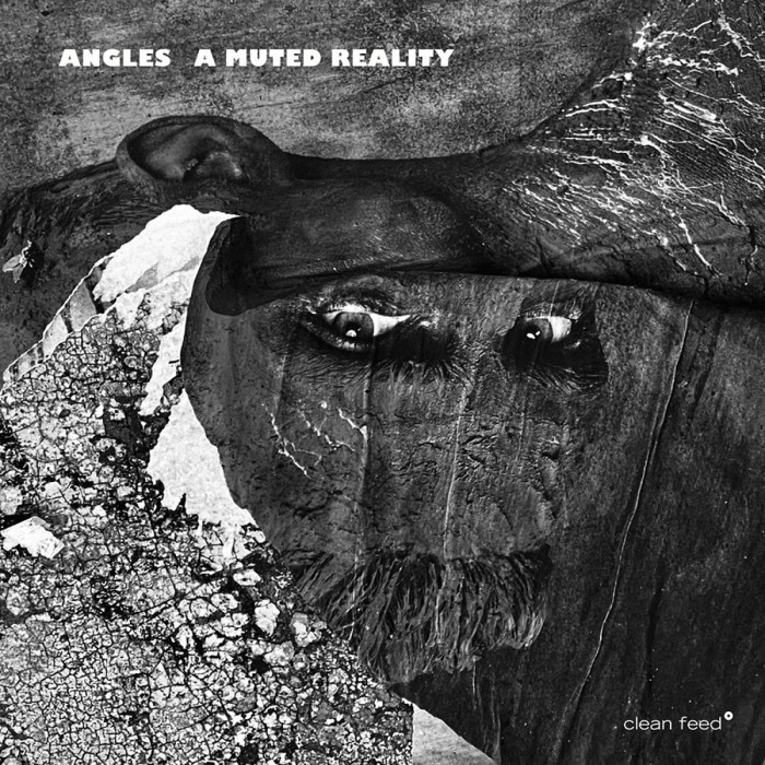 Angles 8 - A Muted Reality