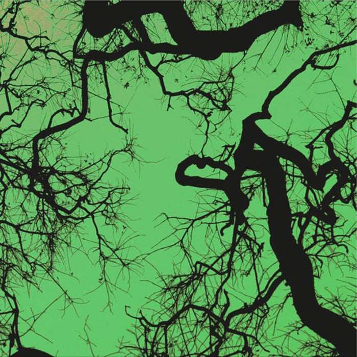 Follakzoid - Follakzoid (Second Edition Galaxy Green Colored Vinyl)