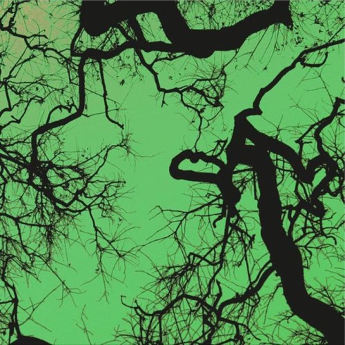 Follakzoid - Follakzoid (Second Edition Galaxy Green Colored Vinyl)