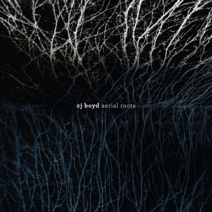 CJ Boyd - Aerial Roots