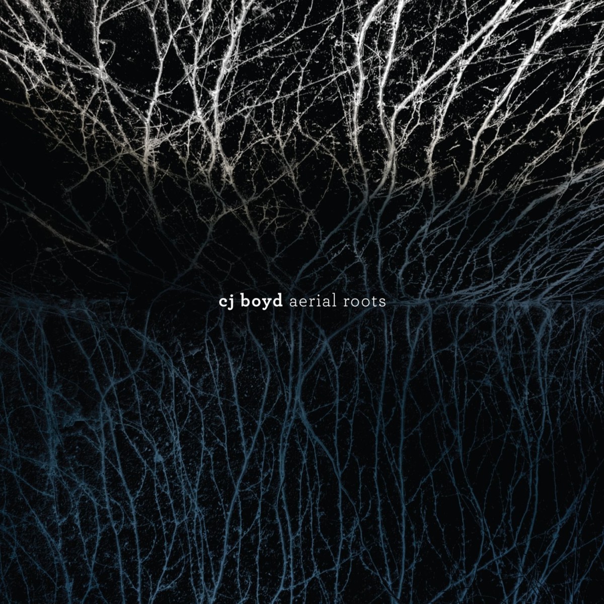 CJ Boyd - Aerial Roots