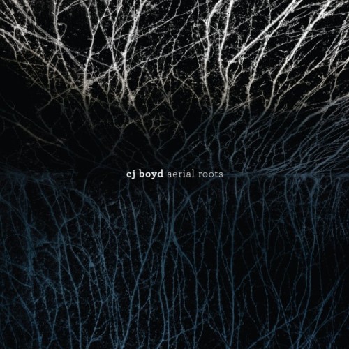 CJ Boyd - Aerial Roots