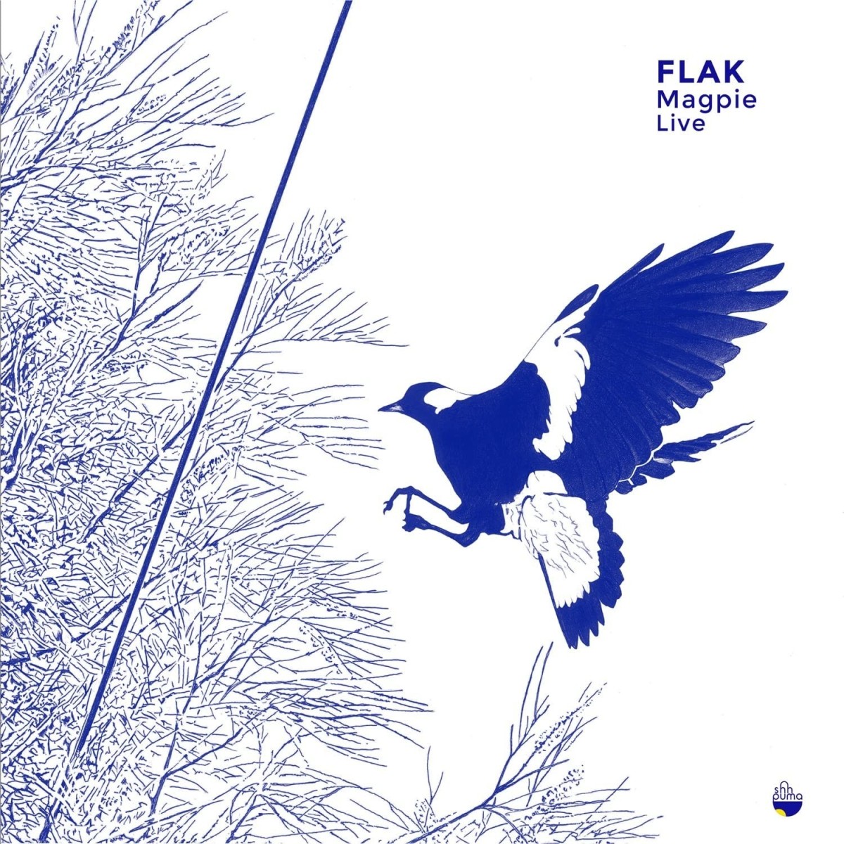 Flak - Magpie Live