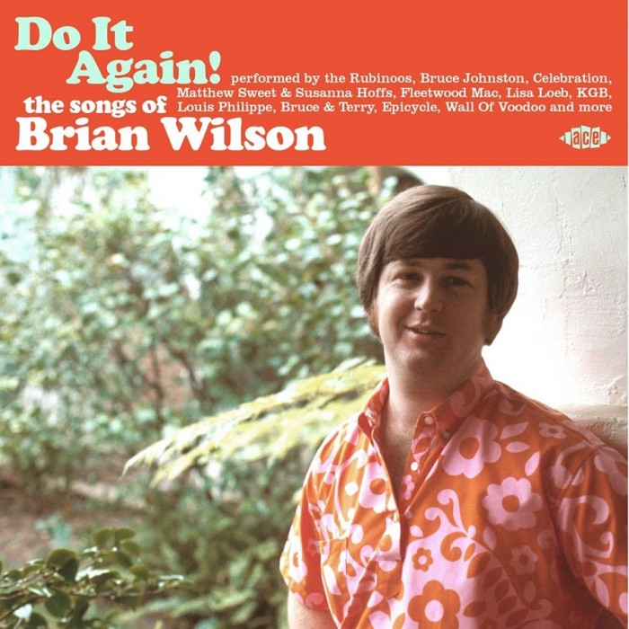 Various Artists - Do It Again! The Songs Of Brian Wilson