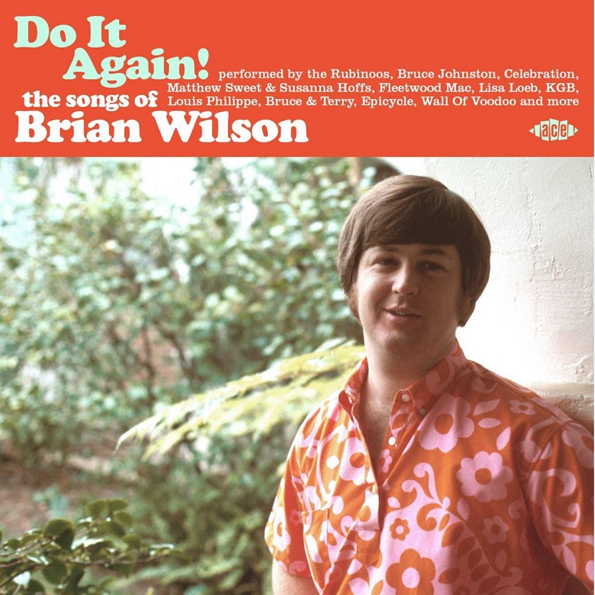 Various Artists - Do It Again! The Songs Of Brian Wilson