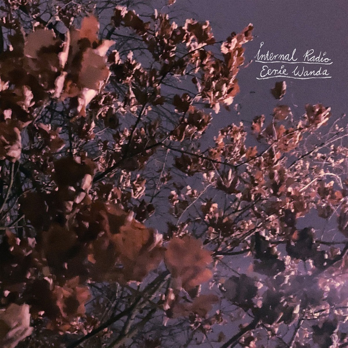 Eerie Wanda - Internal Radio (Lavender Vinyl)