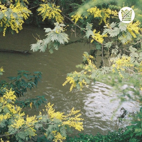 Surprise Chef - Money Music B/W Suburban Breeze