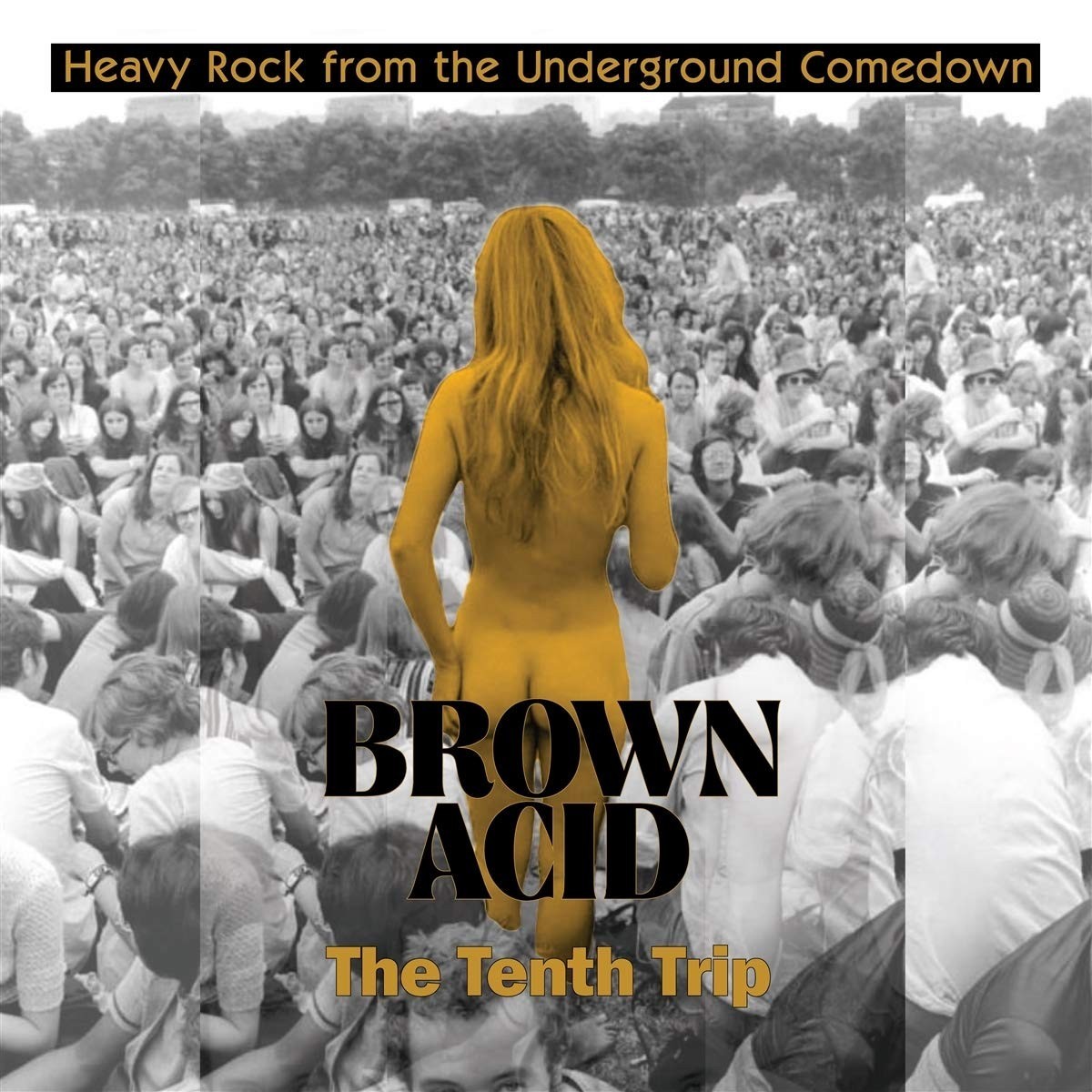 Various Artists - Brown Acid - The Tenth Trip
