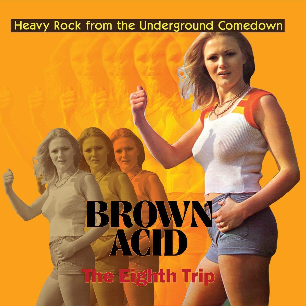 Various Artists - Brown Acid - The Eighth Trip