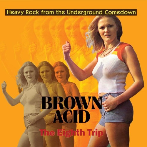 Various Artists - Brown Acid - The Eighth Trip
