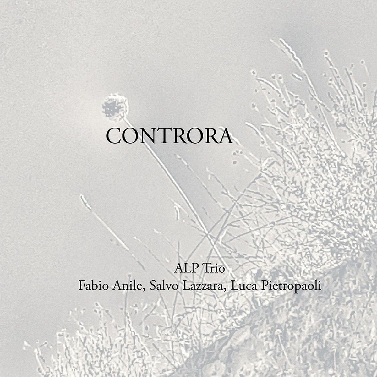 Alp Trio - Controra