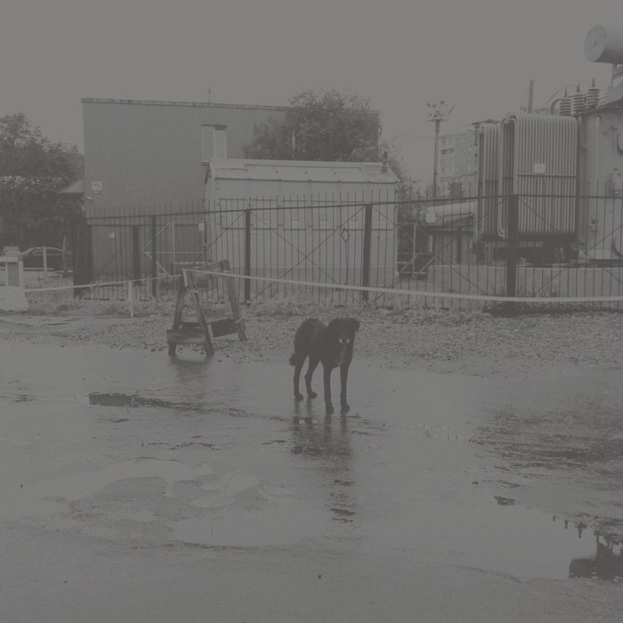 Nivhek - After Its Own Death / Walking In A Spiral Towards The House