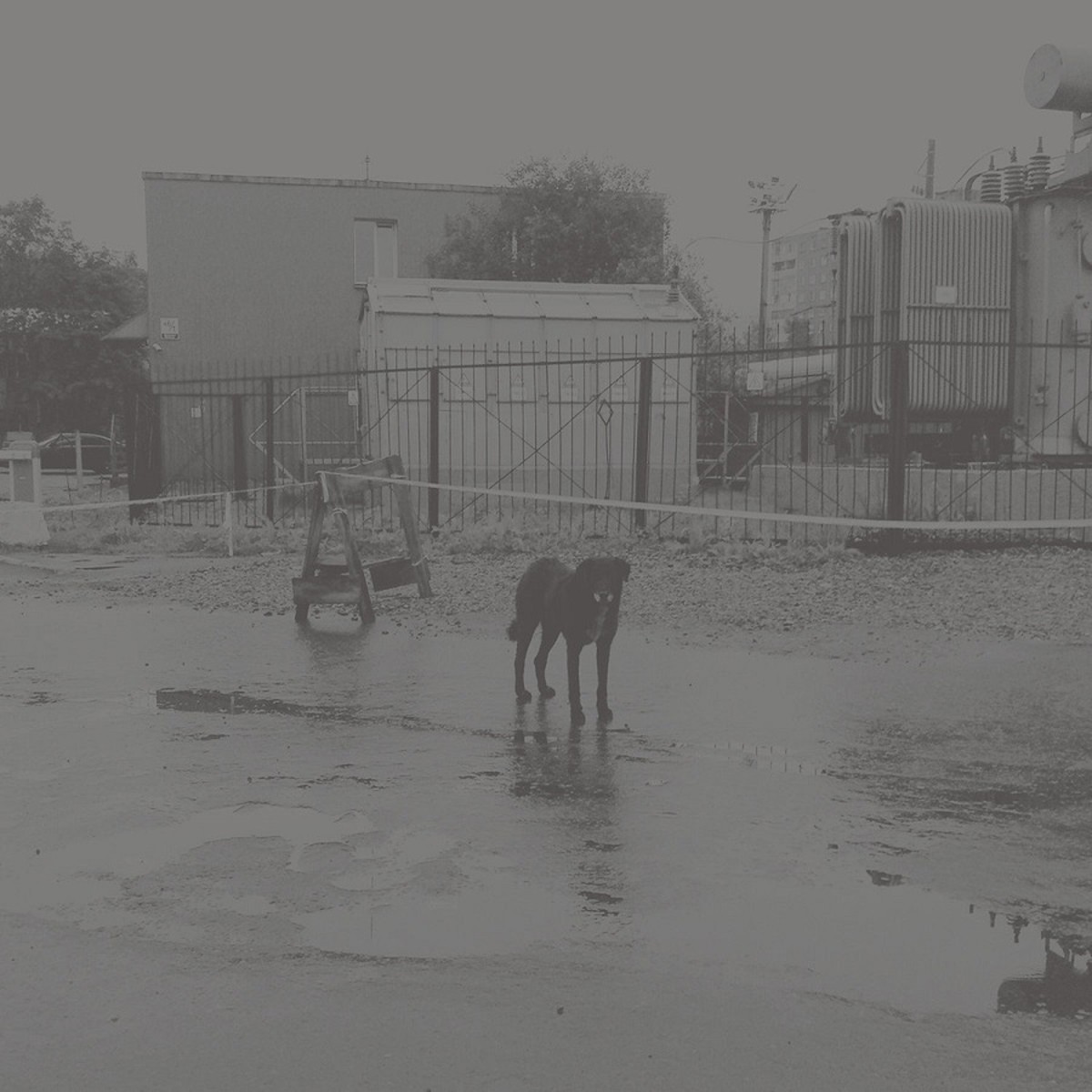 Nivhek - After Its Own Death / Walking In A Spiral Towards The House