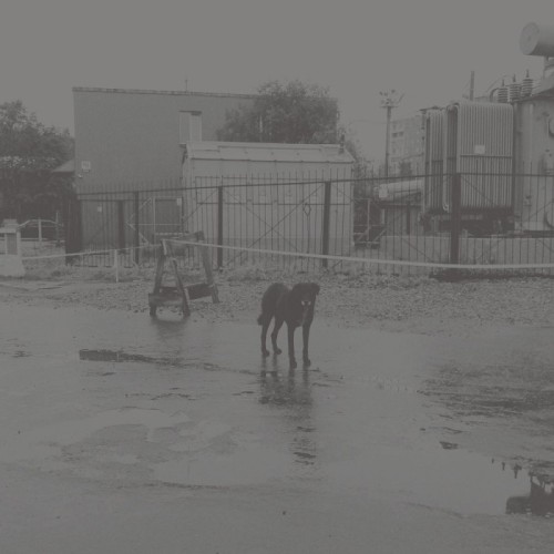 Nivhek - After Its Own Death / Walking In A Spiral Towards The House