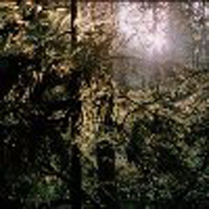 White Manna - White Manna