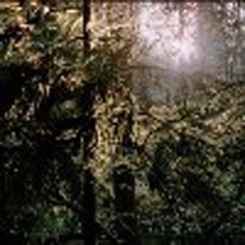 White Manna - White Manna