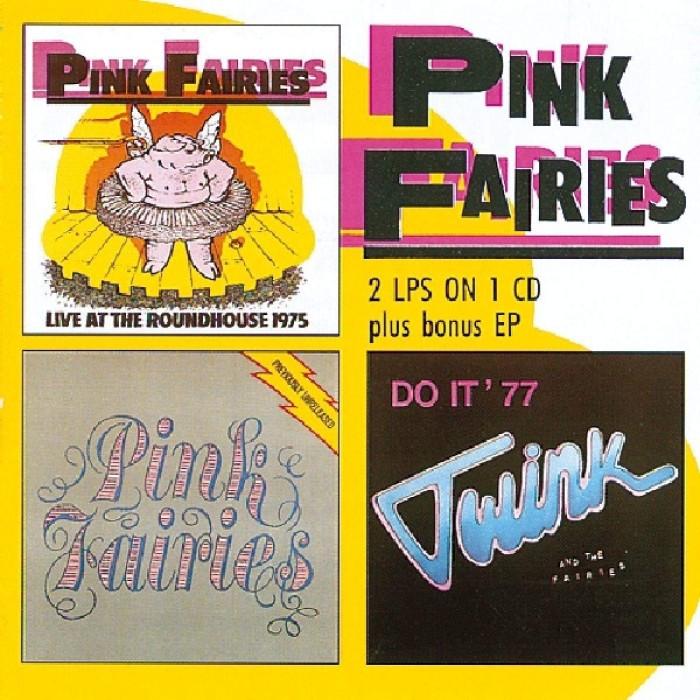 Pink Fairies - Live At The Roundhouse