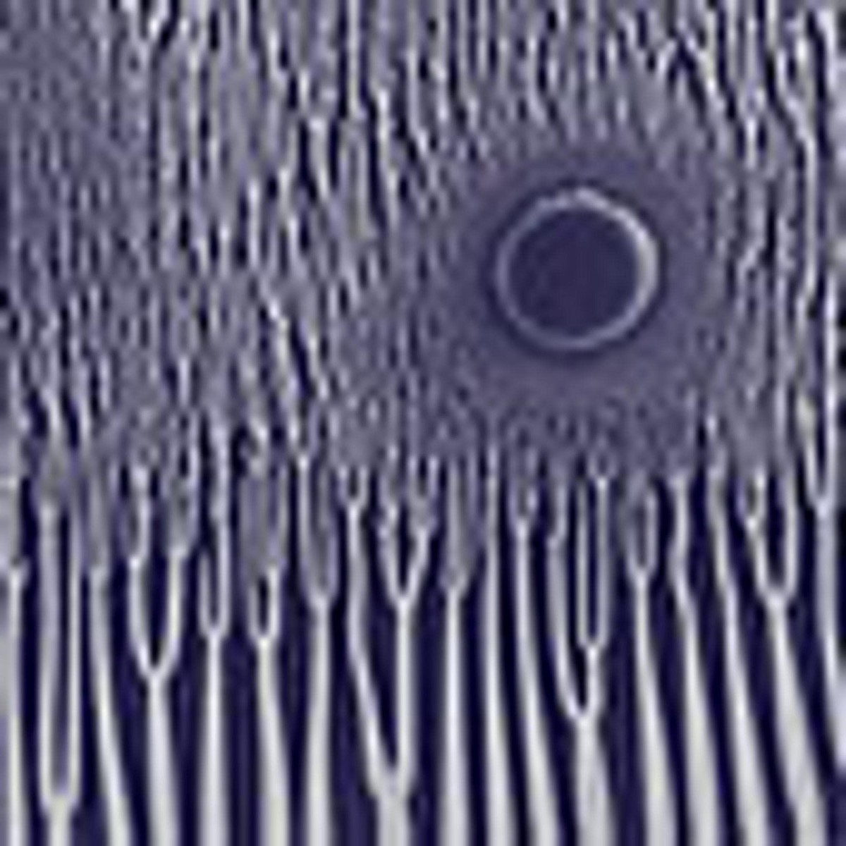 Sunn O))) - Grimm Robe Demos