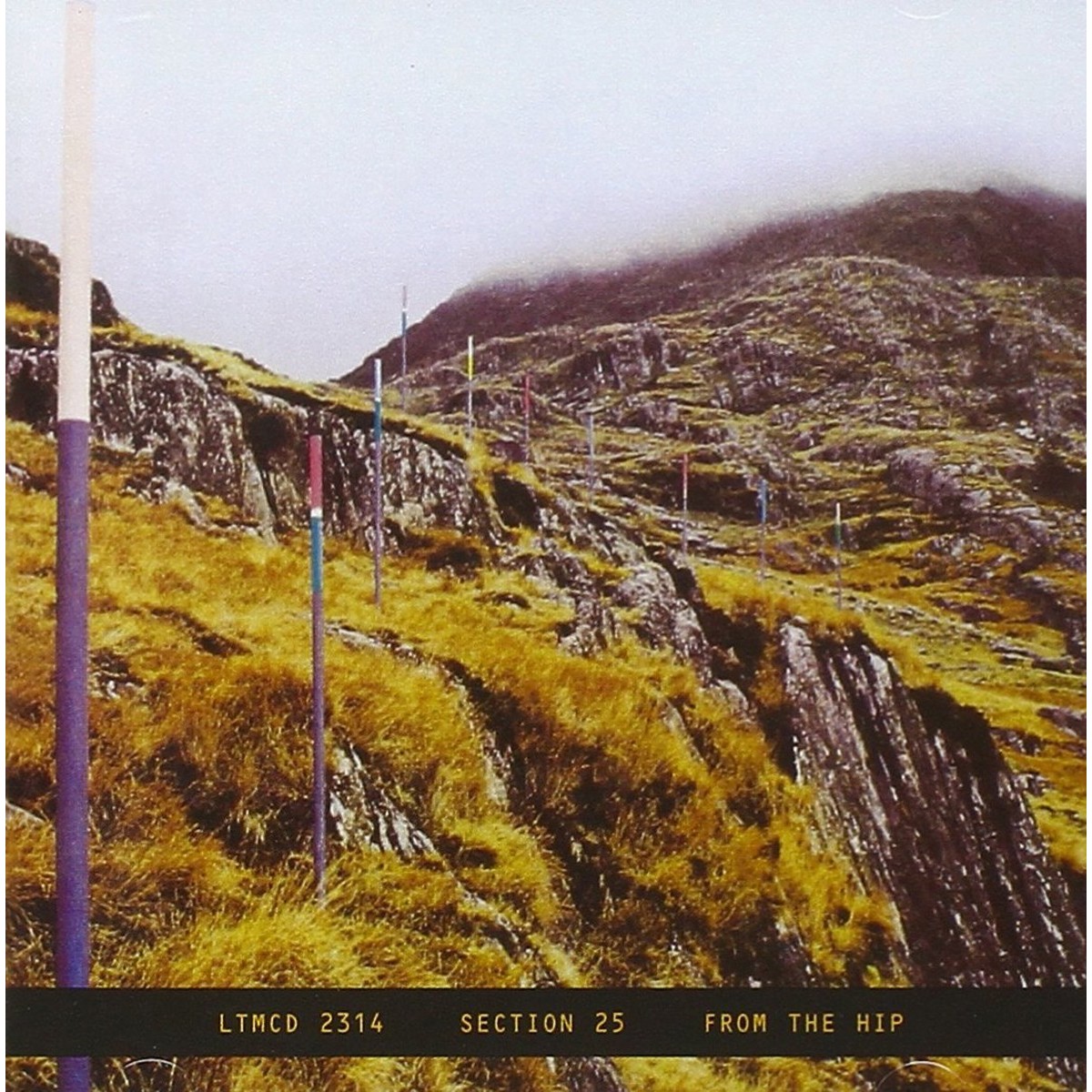 Section 25 - From The Hip + Singles