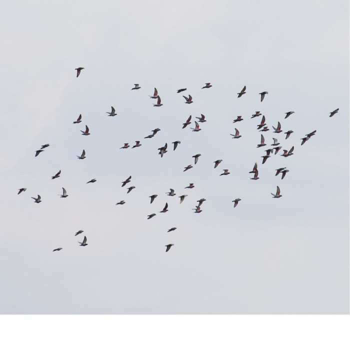 Marja Ahti & Judith Hamann - A Coincidence Is Perfect, Intimate Attunement