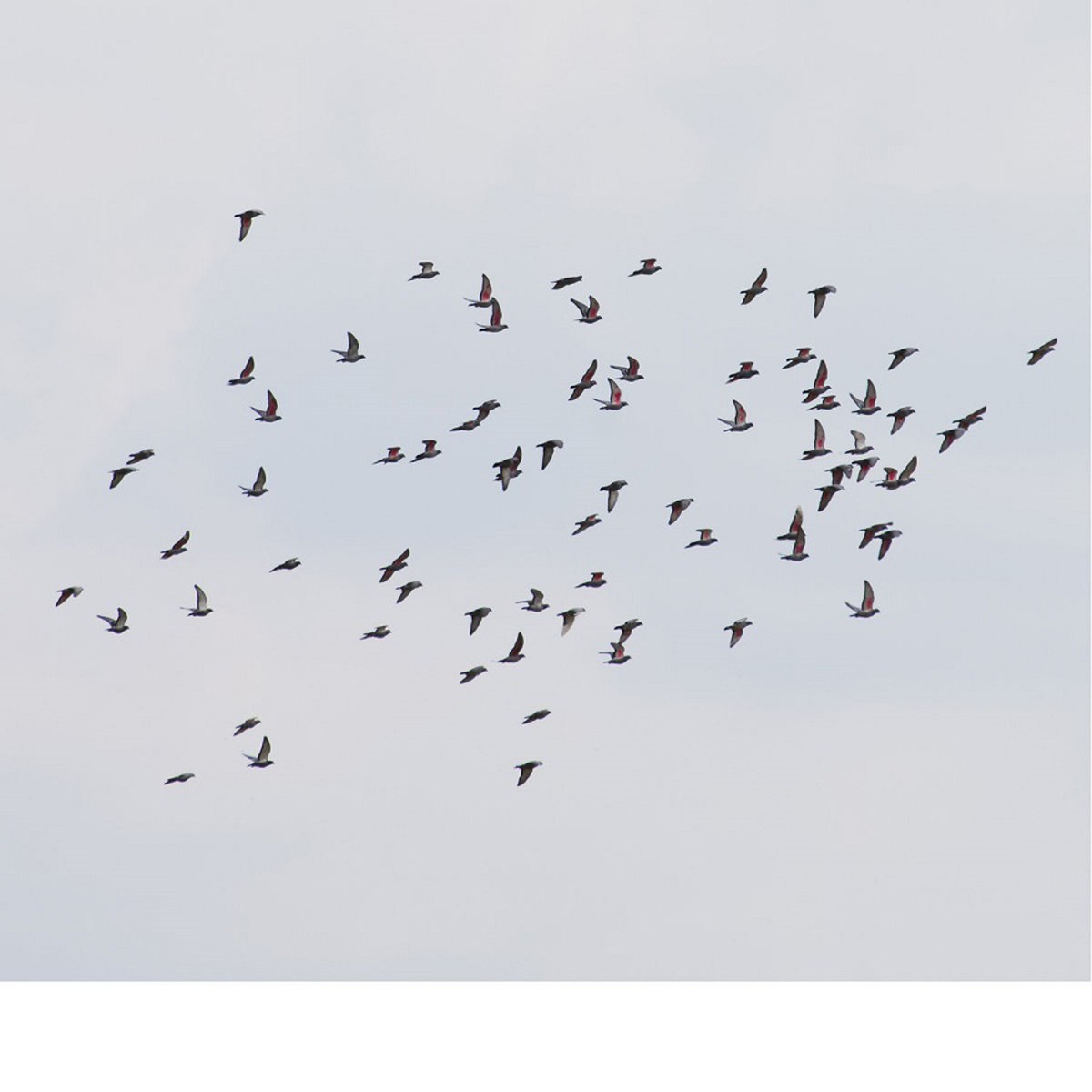 Marja Ahti & Judith Hamann - A Coincidence Is Perfect, Intimate Attunement