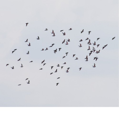 Marja Ahti & Judith Hamann - A Coincidence Is Perfect, Intimate Attunement