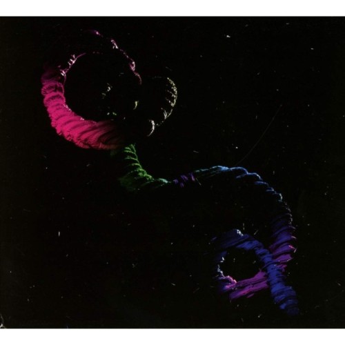 Brogan Bentley - Snake