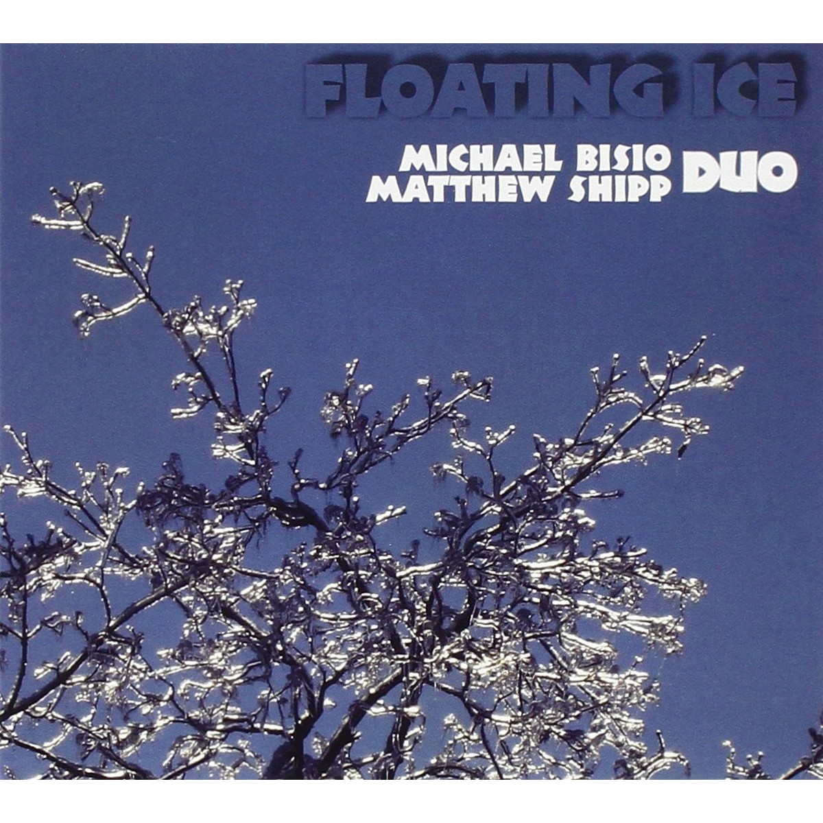 Michael Bisio & Matthew Shipp - Floating Ice