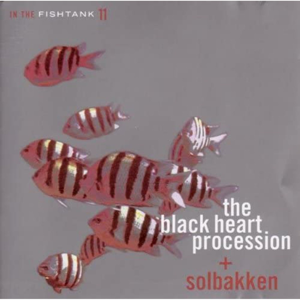 Black Heart Procession - In The Fishtank