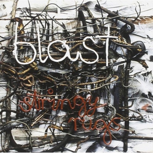 Blast - Stringy Rugs