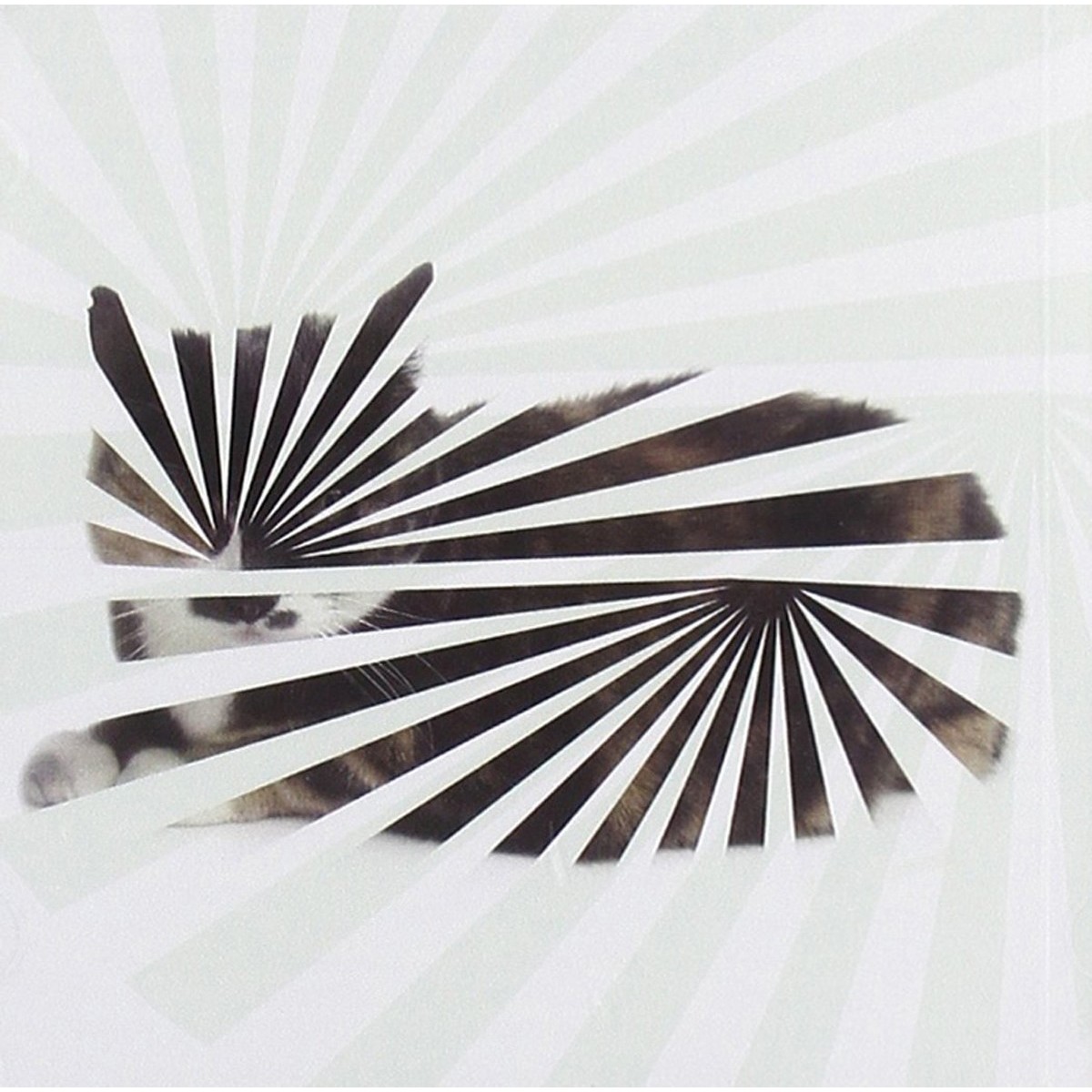 Blow - Poor Aim: Love Songs (Reissue)