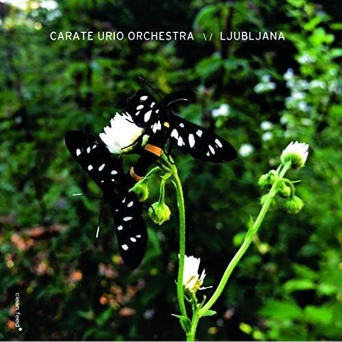 Carate Urio - Ljubljana