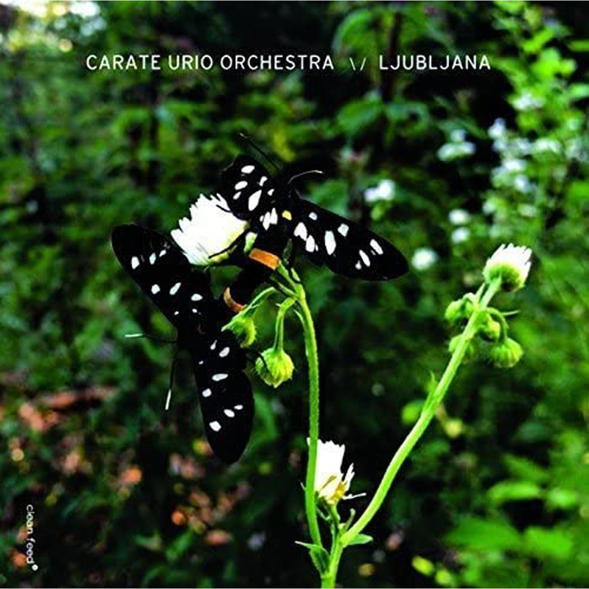 Carate Urio - Ljubljana