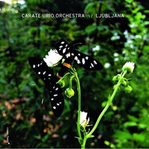 Carate Urio - Ljubljana