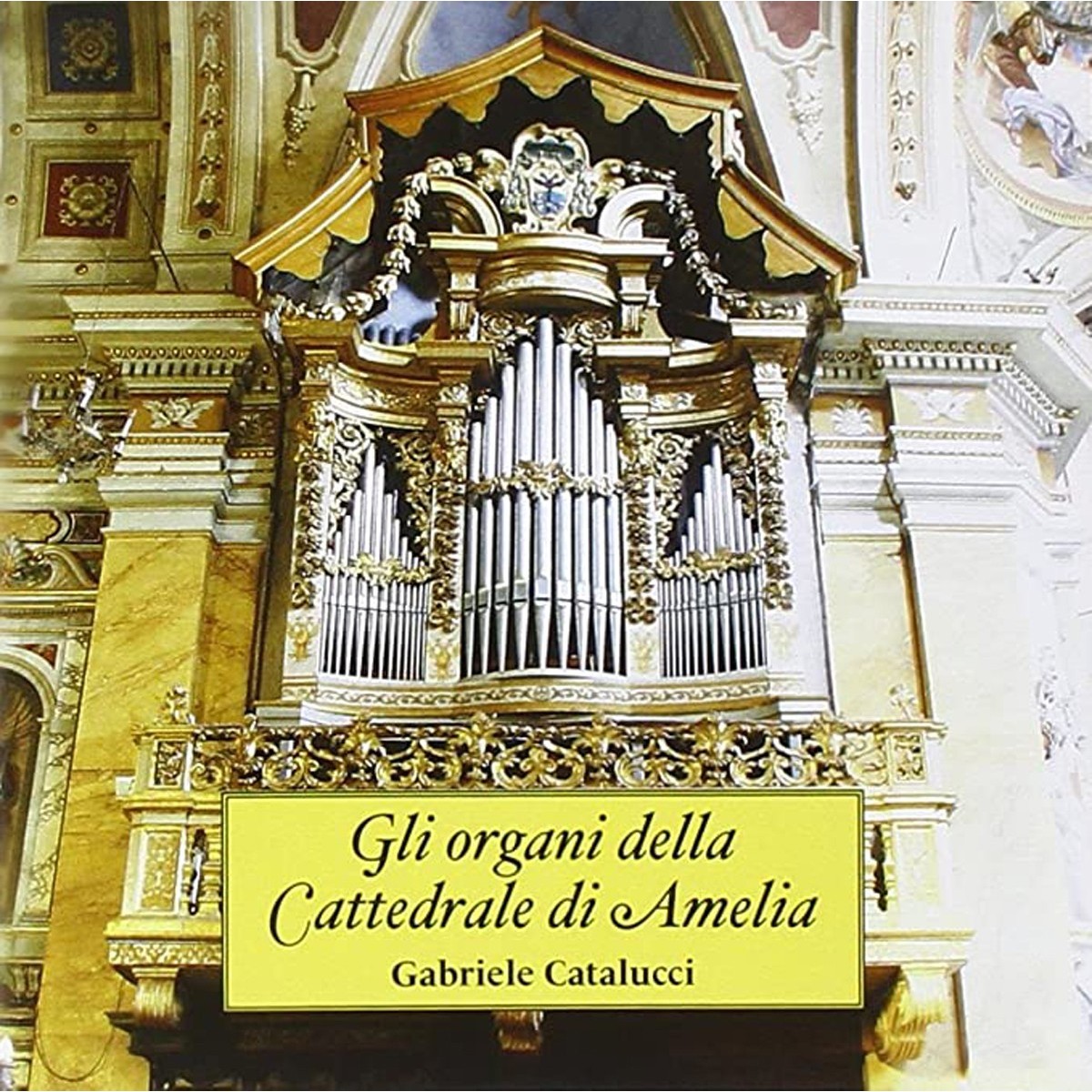 Gabriele Catalucci - Gli Organi Della Cattedrale Di Amelia