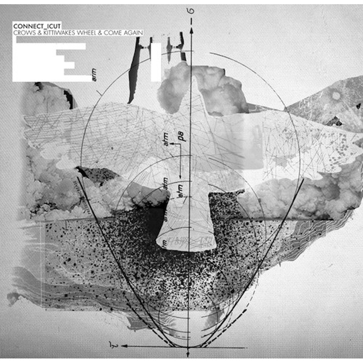 Connect_icut - Crows & Kittiwakes Wheel & Come Again