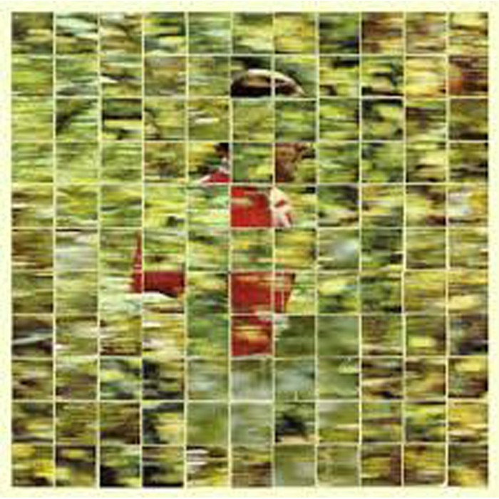 Dalhous - Will To Be Well