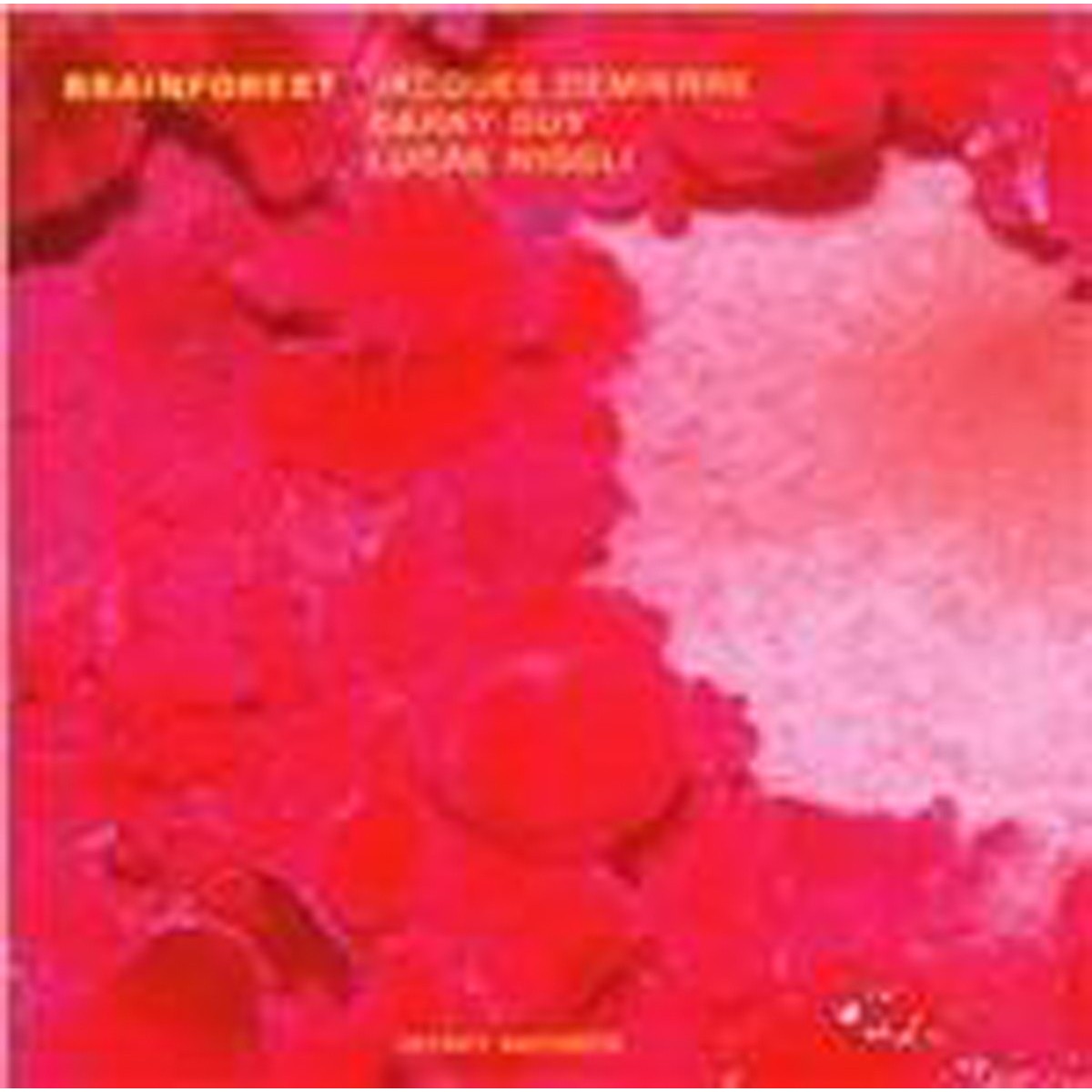 Jacques Demierre & Barry Guy & Lucas Niggli - Brainforest