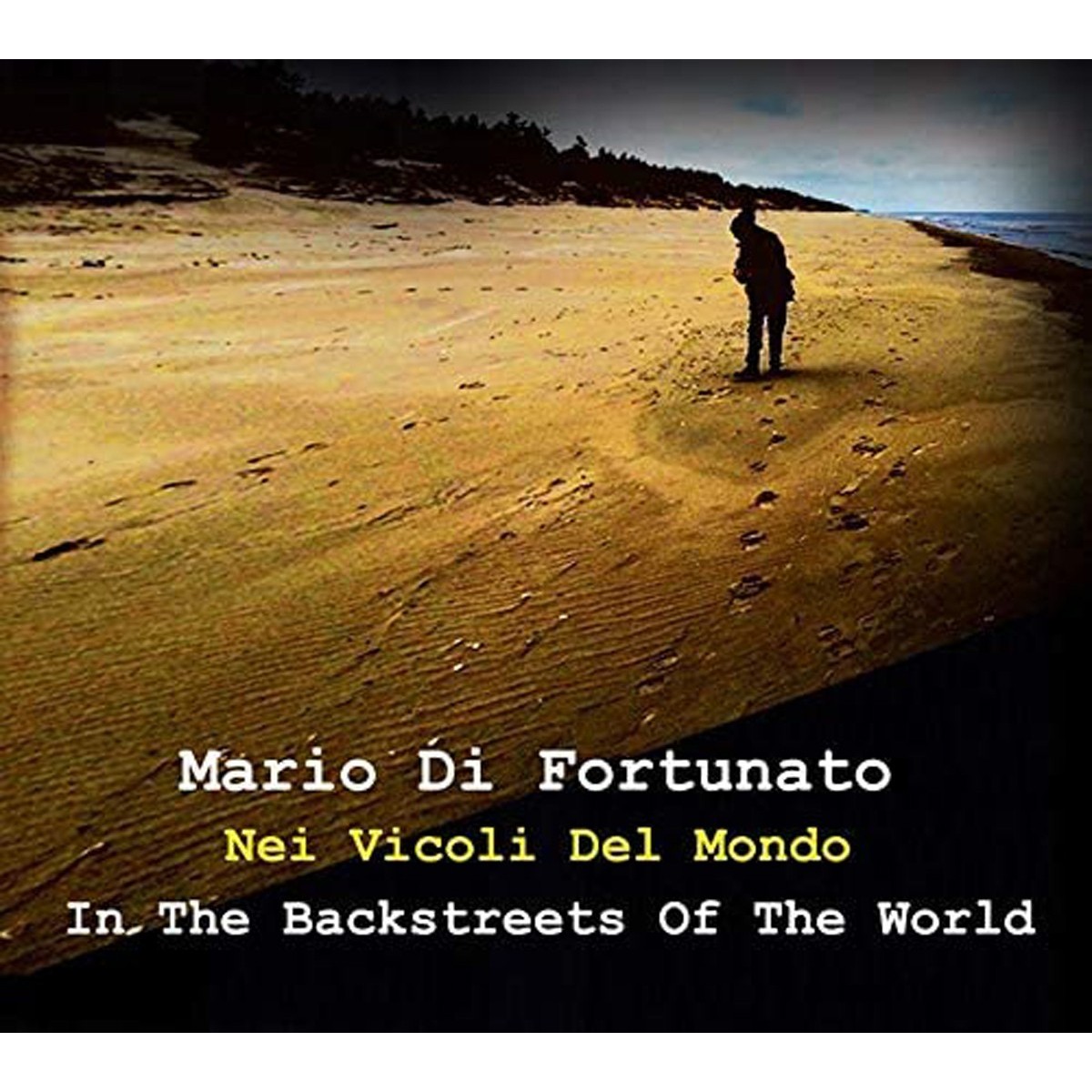 Mario Di Fortunato - Nei Vicoli Del Mondo