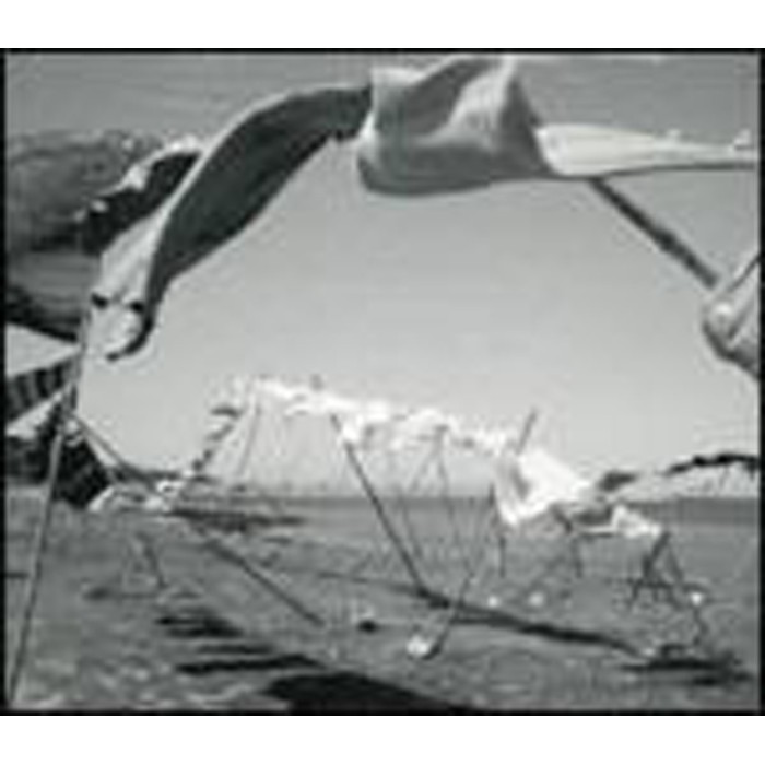 Francesco Diodati - Purple Bra