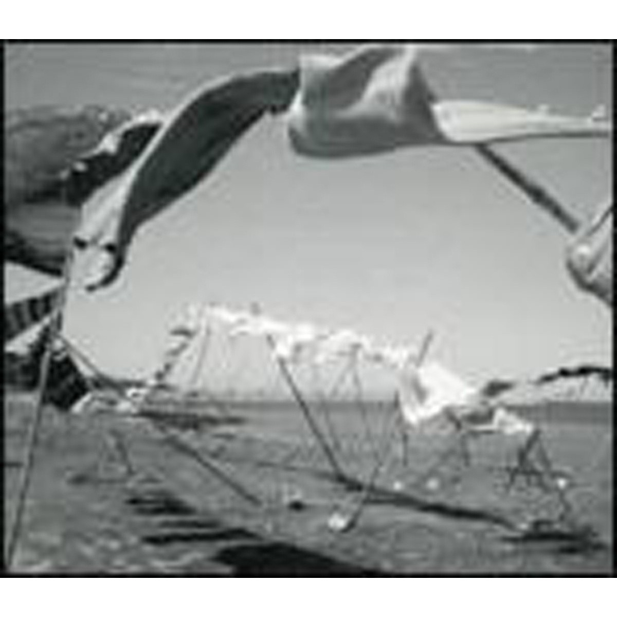 Francesco Diodati - Purple Bra