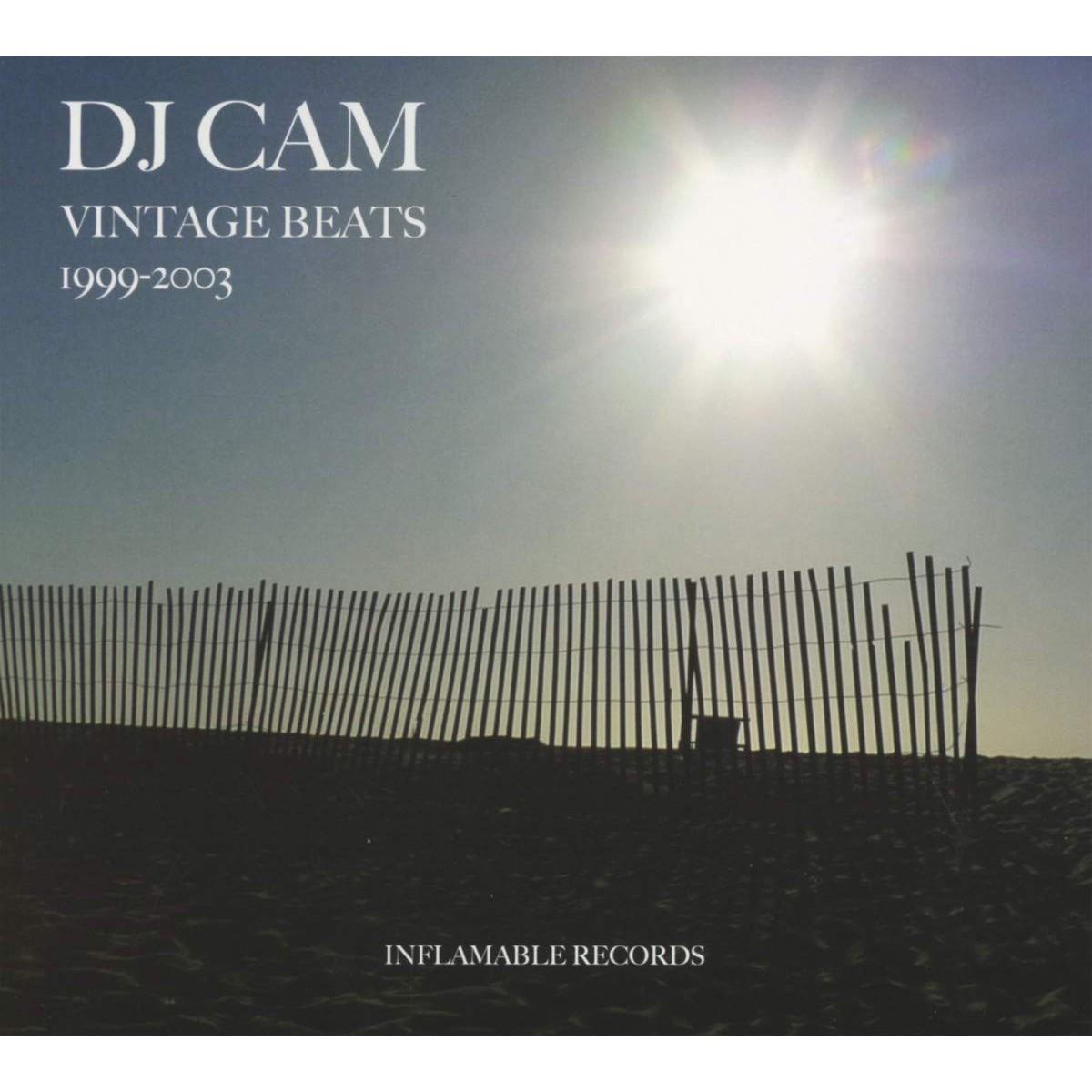DJ Cam - Vintage Beats
