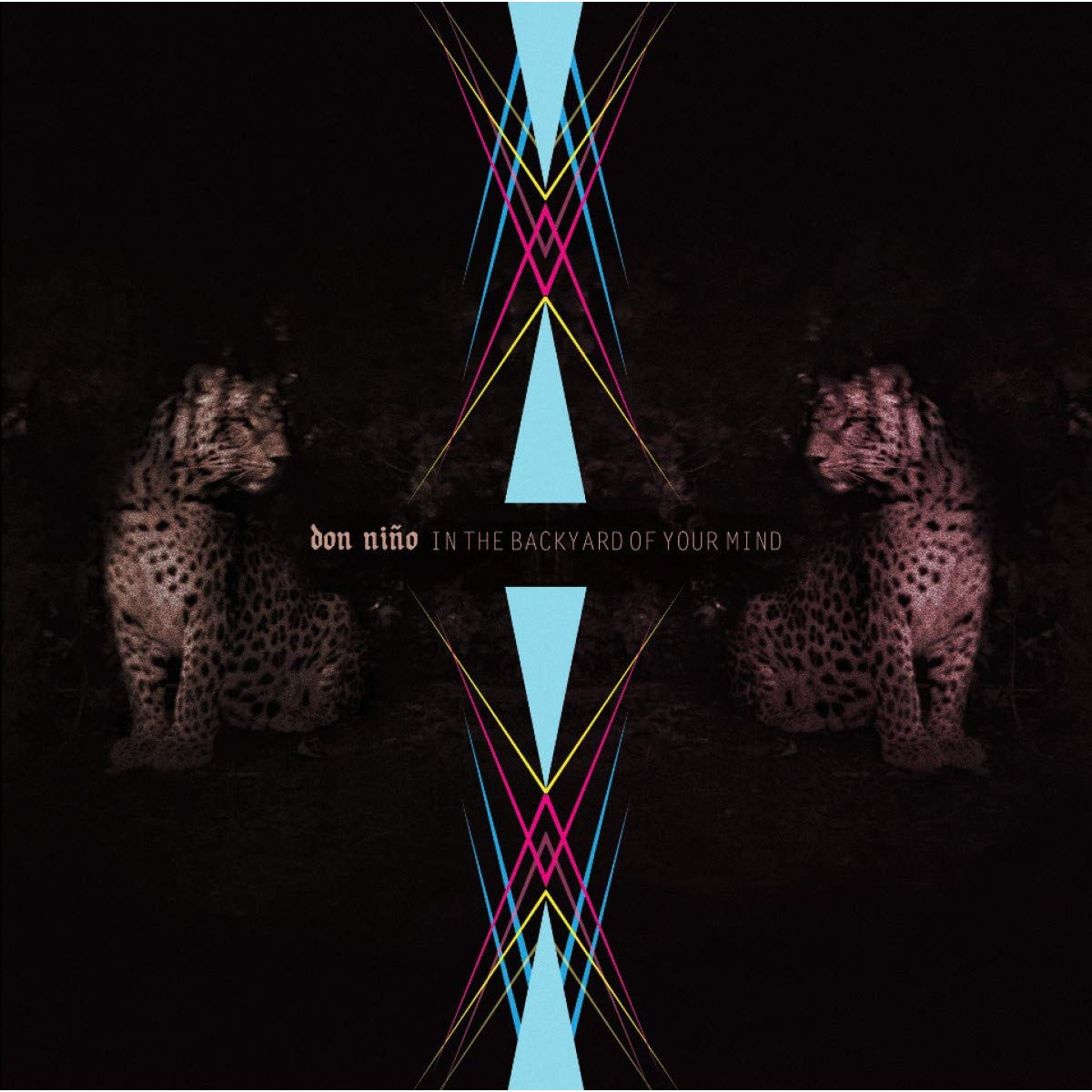 Don Nino - In The Backyard Of Your Mind