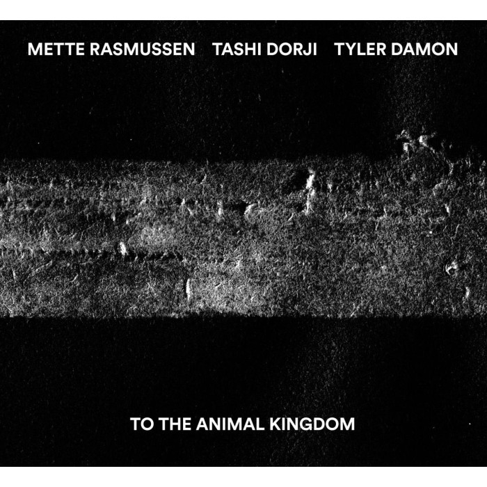 Mette Rasmussen & Tashi Dorji & Tyler Damon - To The Animal Kingdom