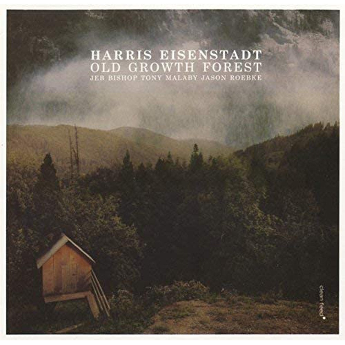 Harris Eisenstadt - Old Growth Forest