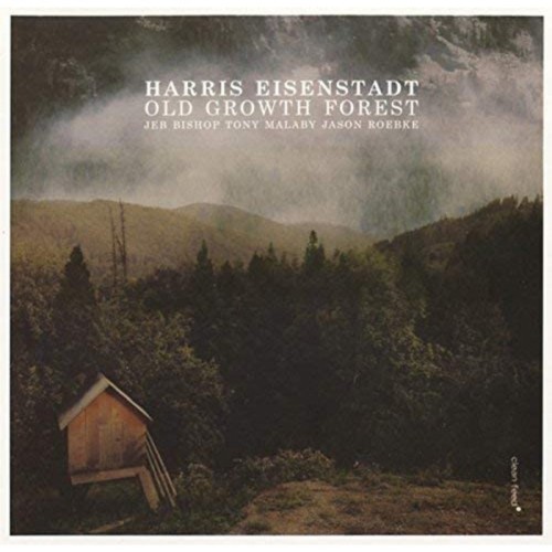 Harris Eisenstadt - Old Growth Forest