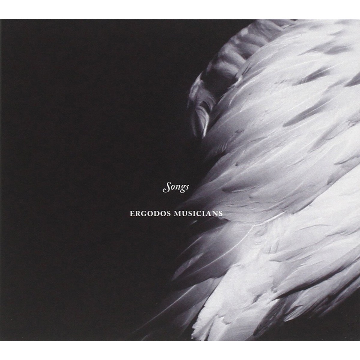 Ergodos Musicians - Songs