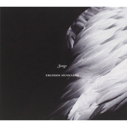 Ergodos Musicians - Songs