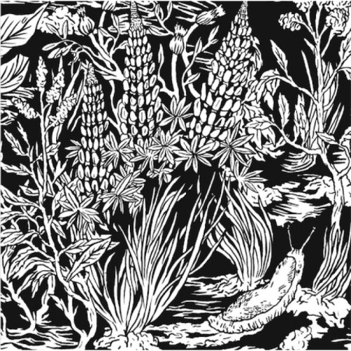 Eternal Tapestry - Wild Strawberries