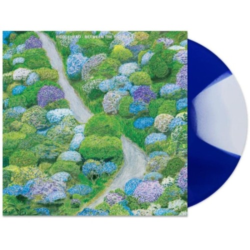 Fiddlehead - Between The Richness (Blue And Clear Moon Phase)